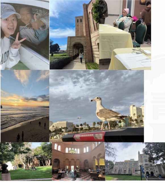 ffac4205f3674e7f9498617841c3f783.png